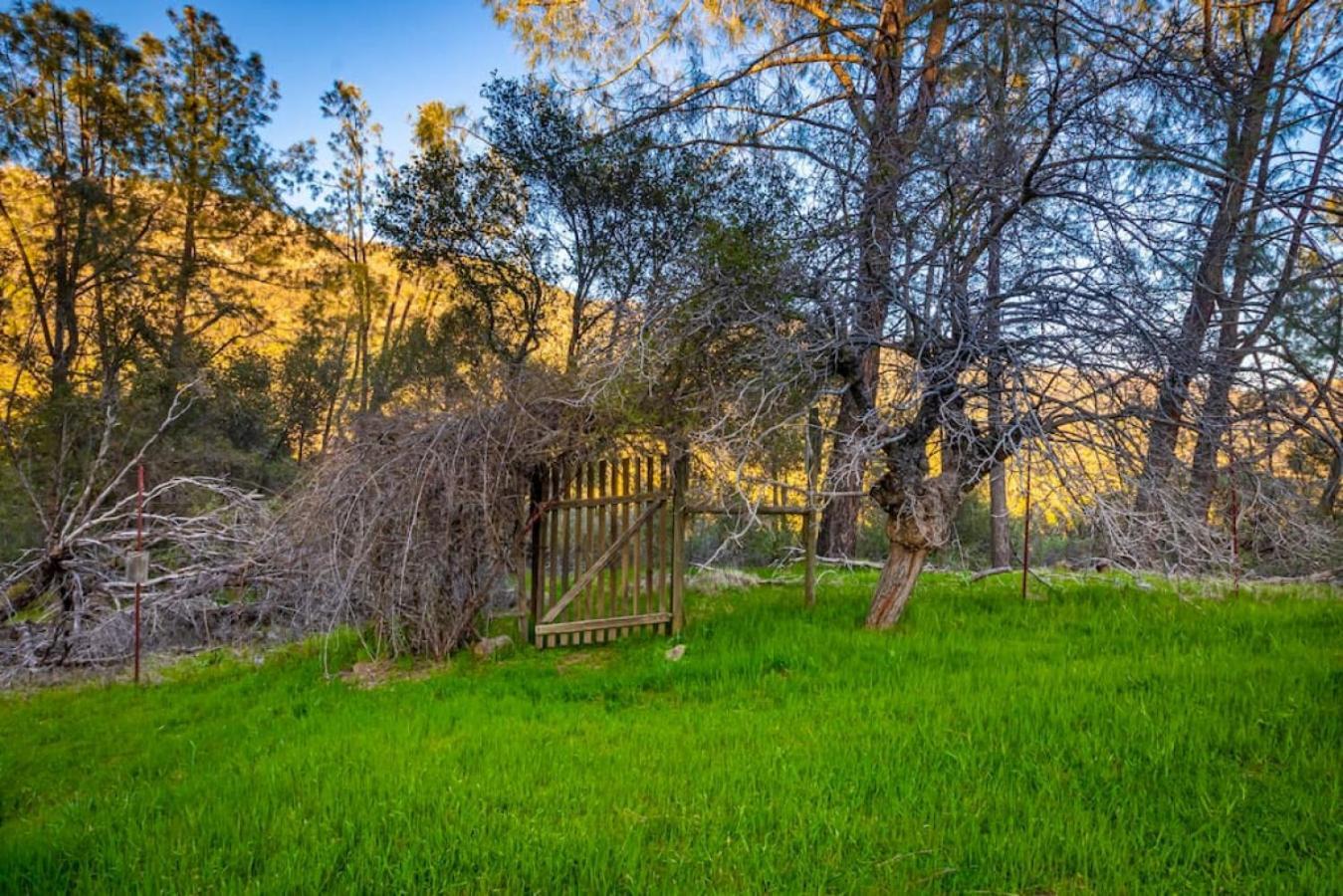 Sierra Vista Lookout Lodge With Creek, Waterfall And Waterholes, Minutes From Bass Lake And Yosemite South Gate North Fork Exterior foto