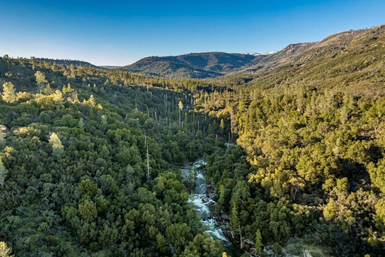 Sierra Vista Lookout Lodge With Creek, Waterfall And Waterholes, Minutes From Bass Lake And Yosemite South Gate North Fork Exterior foto